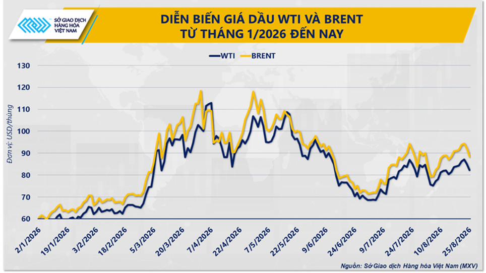 THỊ TRƯỜNG HÀNG HÓA: MXV-Index rời khỏi vùng 2.900 điểm- Ảnh 2.